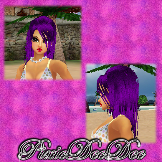 PDD-Shikara-Purple.jpg - 426 Bytes