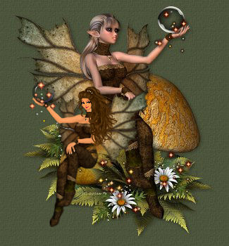 fae41bottomleft.jpg
