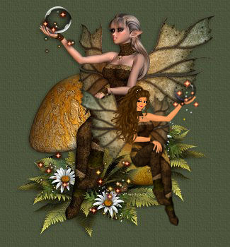 fae41bottomright.jpg