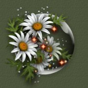 fae41buttonblank.jpg - 4096 Bytes