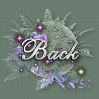 back.jpg - 12288 Bytes