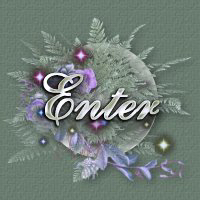 enter.jpg - 12288 Bytes