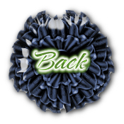  enter.jpg - 12288 Bytes