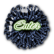  enter.jpg - 12288 Bytes