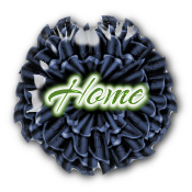  enter.jpg - 12288 Bytes