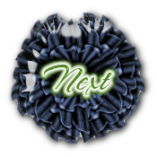  enter.jpg - 12288 Bytes